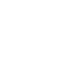Pro 1