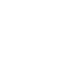 Pro 2